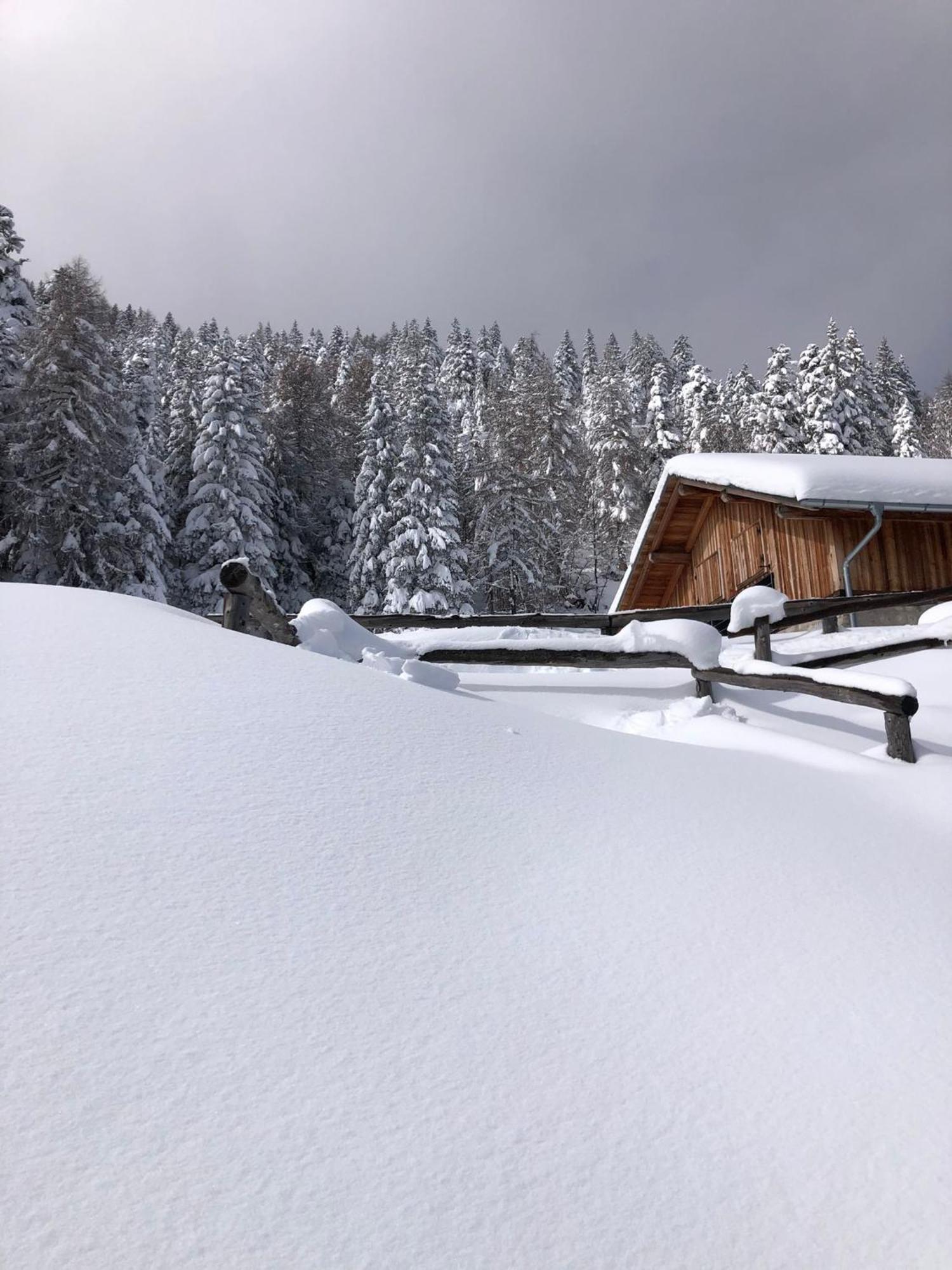 Sporminore Brenta Luxury Chalet מראה חיצוני תמונה